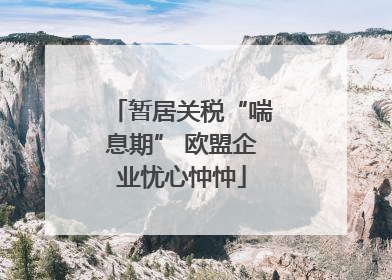 暂居关税“喘息期” 欧盟企业忧心忡忡
