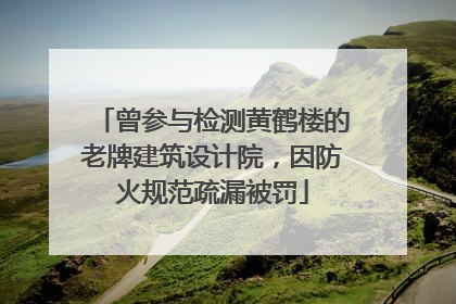 曾参与检测黄鹤楼的老牌建筑设计院，因防火规范疏漏被罚