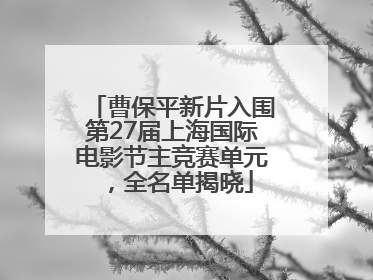 曹保平新片入围第27届上海国际电影节主竞赛单元，全名单揭晓
