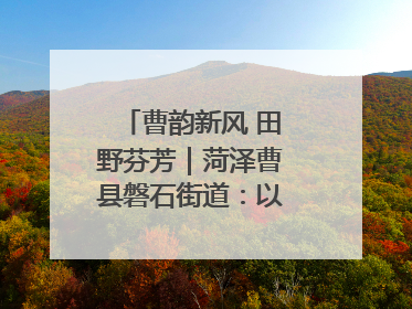 曹韵新风 田野芬芳｜菏泽曹县磐石街道：以歌为媒 唱响乡土“新歌声”