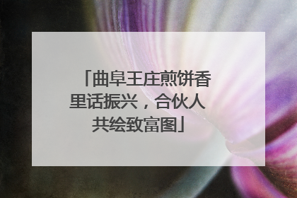 曲阜王庄煎饼香里话振兴，合伙人共绘致富图