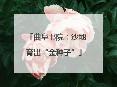 曲阜书院：沙地育出“金种子”