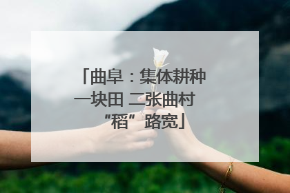 曲阜：集体耕种一块田 二张曲村“稻”路宽