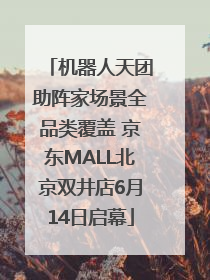机器人天团助阵家场景全品类覆盖 京东MALL北京双井店6月14日启幕