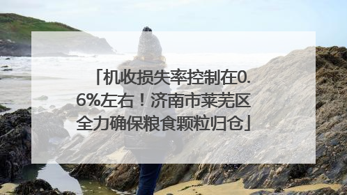 机收损失率控制在0.6%左右！济南市莱芜区全力确保粮食颗粒归仓