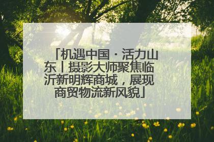 机遇中国・活力山东丨摄影大师聚焦临沂新明辉商城，展现商贸物流新风貌
