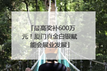 最高奖补600万元！厦门真金白银赋能会展业发展
