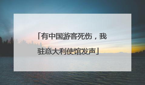 有中国游客死伤，我驻意大利使馆发声