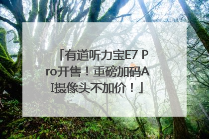 有道听力宝E7 Pro开售！重磅加码AI摄像头不加价！