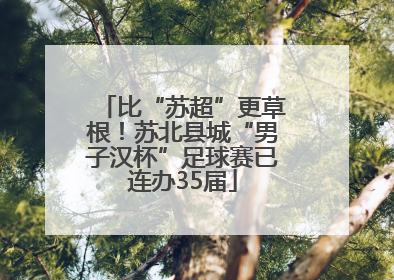 比“苏超”更草根！苏北县城“男子汉杯”足球赛已连办35届