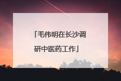 毛伟明在长沙调研中医药工作
