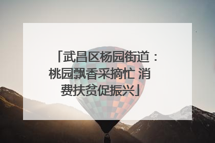 武昌区杨园街道：桃园飘香采摘忙 消费扶贫促振兴