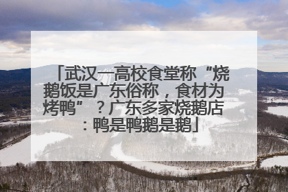 武汉一高校食堂称“烧鹅饭是广东俗称，食材为烤鸭”？广东多家烧鹅店：鸭是鸭鹅是鹅
