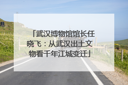 武汉博物馆馆长任晓飞：从武汉出土文物看千年江城变迁