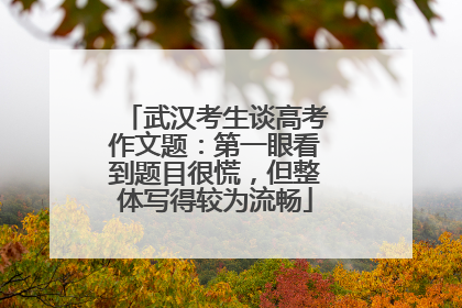 武汉考生谈高考作文题：第一眼看到题目很慌，但整体写得较为流畅