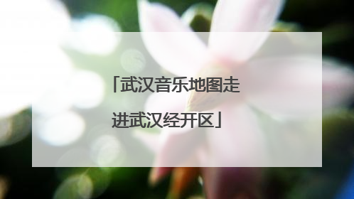 武汉音乐地图走进武汉经开区