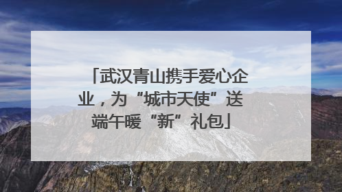 武汉青山携手爱心企业，为“城市天使”送端午暖“新”礼包