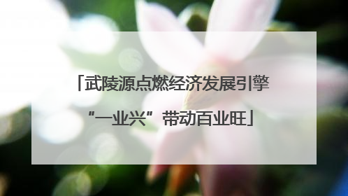 武陵源点燃经济发展引擎 “一业兴”带动百业旺