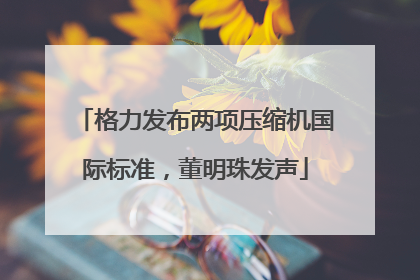 格力发布两项压缩机国际标准，董明珠发声