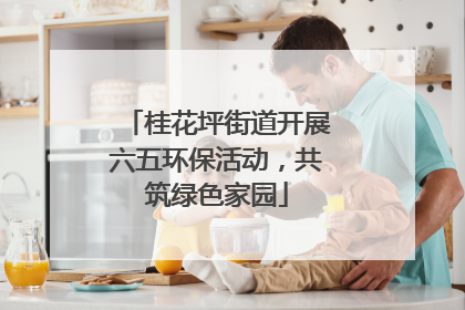 桂花坪街道开展六五环保活动，共筑绿色家园