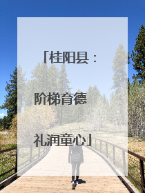桂阳县：阶梯育德 礼润童心