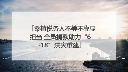 桑植税务人不等不靠显担当 全员捐款助力“6·18”洪灾重建
