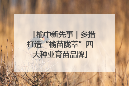 榆中新先事｜多措打造“榆苗陇萃”四大种业育苗品牌