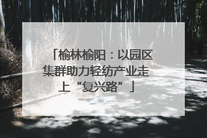榆林榆阳：以园区集群助力轻纺产业走上“复兴路”