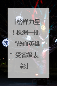 榜样力量！株洲一批“热血英雄”受省级表彰