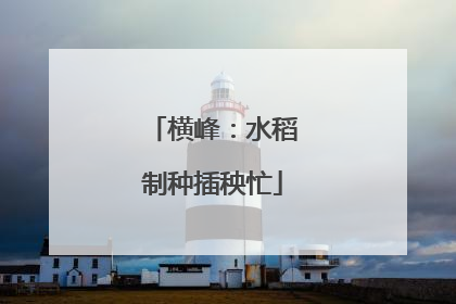 横峰：水稻制种插秧忙