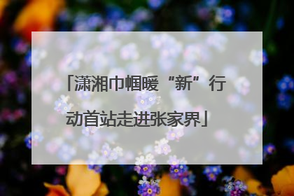 潇湘巾帼暖“新”行动首站走进张家界