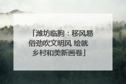 潍坊临朐：移风易俗劲吹文明风 绘就乡村和美新画卷