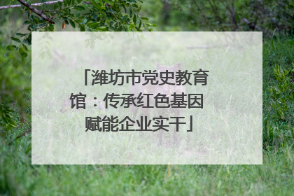 潍坊市党史教育馆：传承红色基因 赋能企业实干