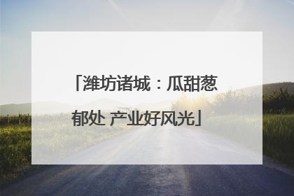 潍坊诸城：瓜甜葱郁处 产业好风光