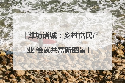 潍坊诸城：乡村富民产业 绘就共富新图景
