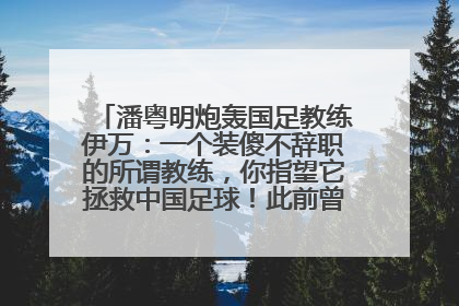 潘粤明炮轰国足教练伊万：一个装傻不辞职的所谓教练，你指望它拯救中国足球！此前曾多次发文评价国足