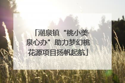 潮泉镇“桃小美·泉心办”助力梦幻桃花源项目扬帆起航