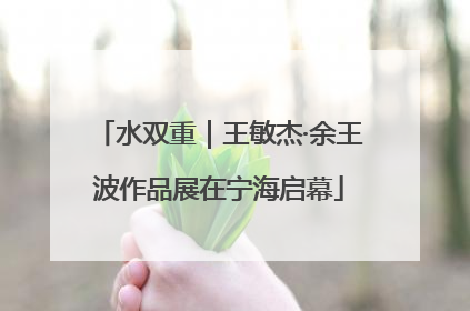 水双重｜王敏杰·余王波作品展在宁海启幕