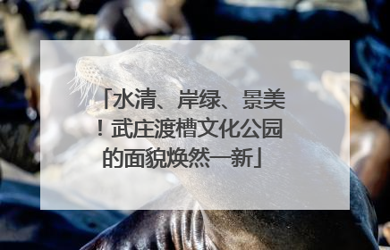 水清、岸绿、景美！武庄渡槽文化公园的面貌焕然一新