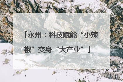 永州：科技赋能“小辣椒”变身“大产业”
