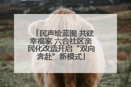 民声绘蓝图 共建幸福家 六合社区亲民化改造开启“双向奔赴”新模式