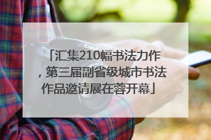 汇集210幅书法力作，第三届副省级城市书法作品邀请展在蓉开幕
