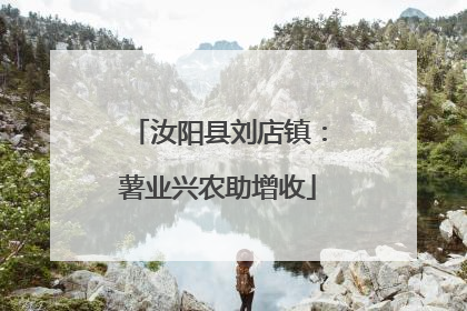 汝阳县刘店镇：薯业兴农助增收