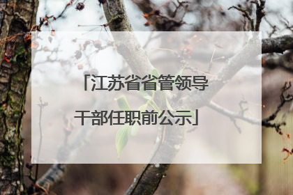 江苏省省管领导干部任职前公示