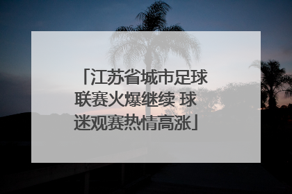 江苏省城市足球联赛火爆继续 球迷观赛热情高涨