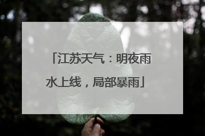 江苏天气：明夜雨水上线，局部暴雨