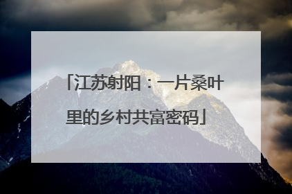 江苏射阳：一片桑叶里的乡村共富密码