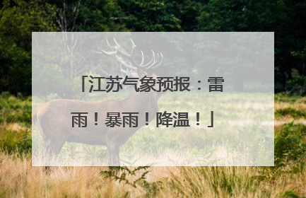 江苏气象预报：雷雨！暴雨！降温！