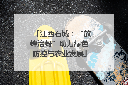 江西石城：“放蜂治蚜”助力绿色防控与农业发展