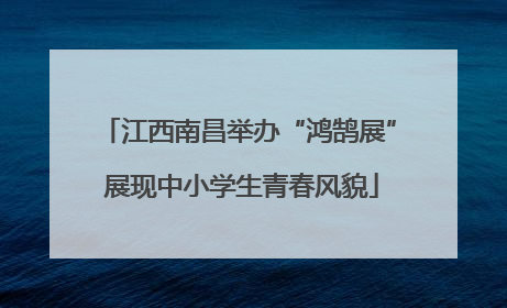江西南昌举办“鸿鹄展” 展现中小学生青春风貌